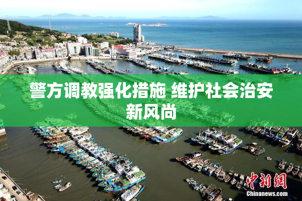 警方调教强化措施 维护社会治安新风尚