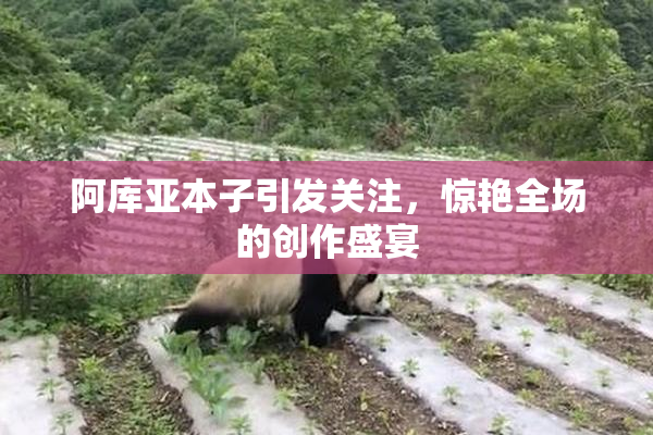 阿库亚本子引发关注，惊艳全场的创作盛宴