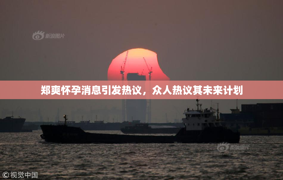 郑爽怀孕消息引发热议，众人热议其未来计划