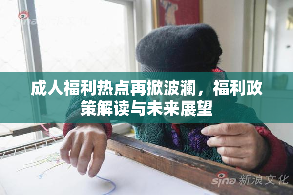 成人福利热点再掀波澜，福利政策解读与未来展望