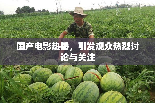 国产电影热播，引发观众热烈讨论与关注