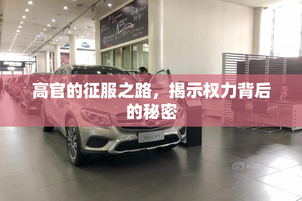 高官的征服之路，揭示权力背后的秘密