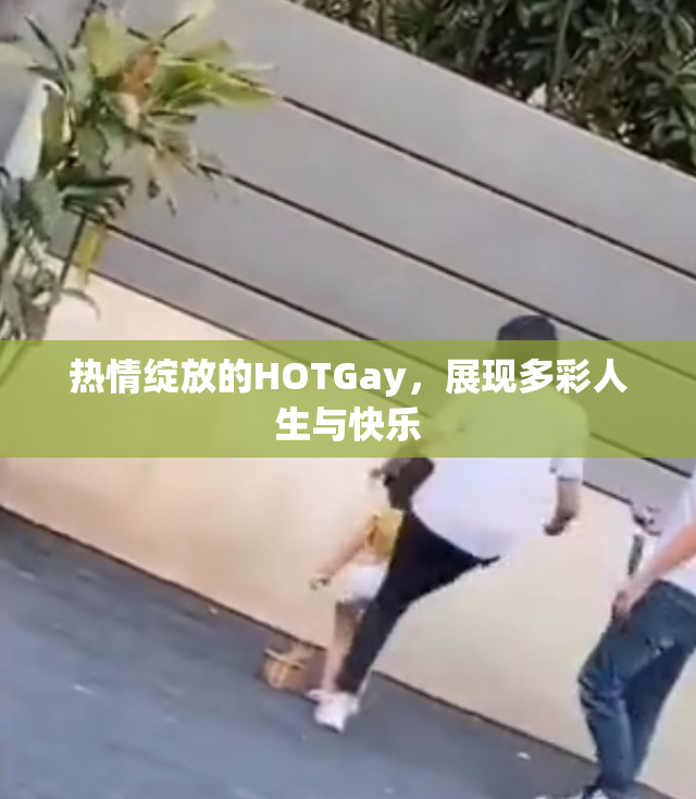热情绽放的HOTGay，展现多彩人生与快乐