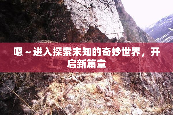 嗯～进入探索未知的奇妙世界，开启新篇章