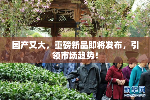 国产又大，重磅新品即将发布，引领市场趋势！
