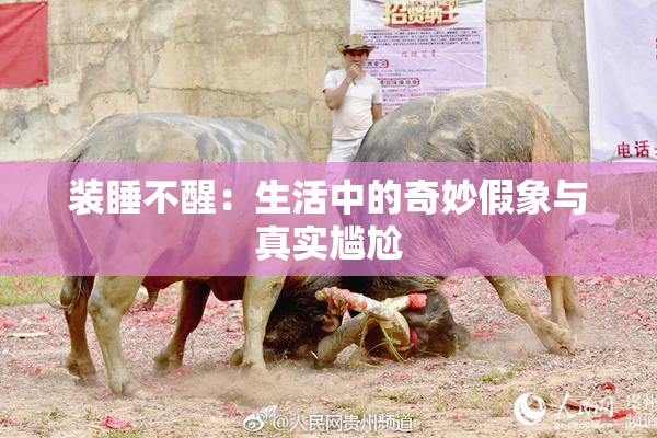 装睡不醒：生活中的奇妙假象与真实尴尬