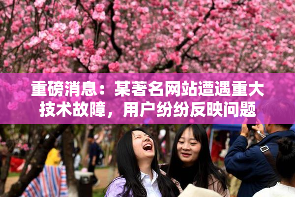 重磅消息：某著名网站遭遇重大技术故障，用户纷纷反映问题