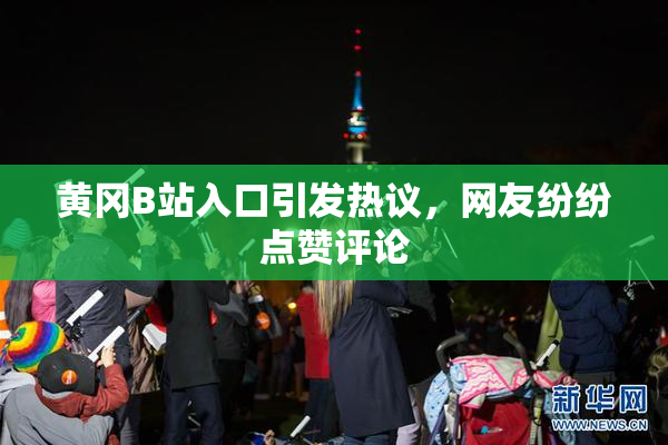 黄冈B站入口引发热议，网友纷纷点赞评论