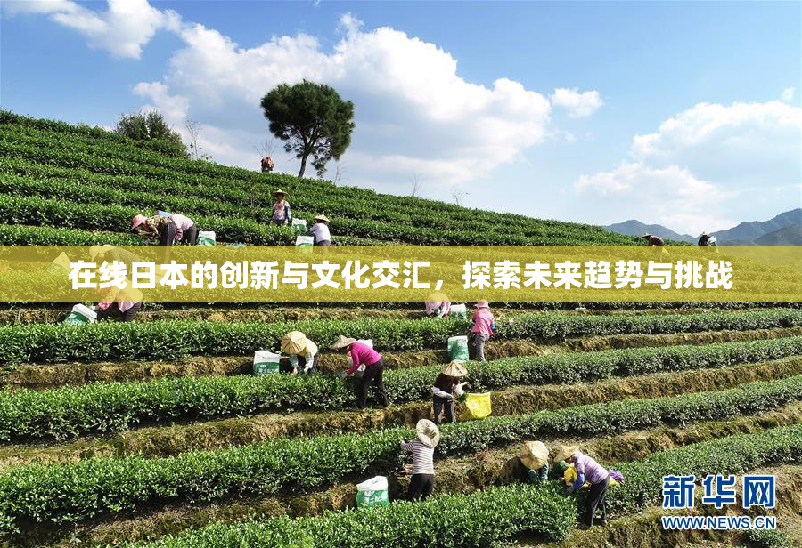 在线日本的创新与文化交汇，探索未来趋势与挑战