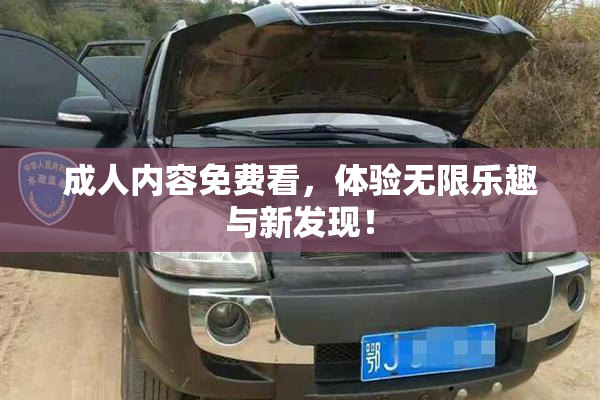 成人内容免费看，体验无限乐趣与新发现！