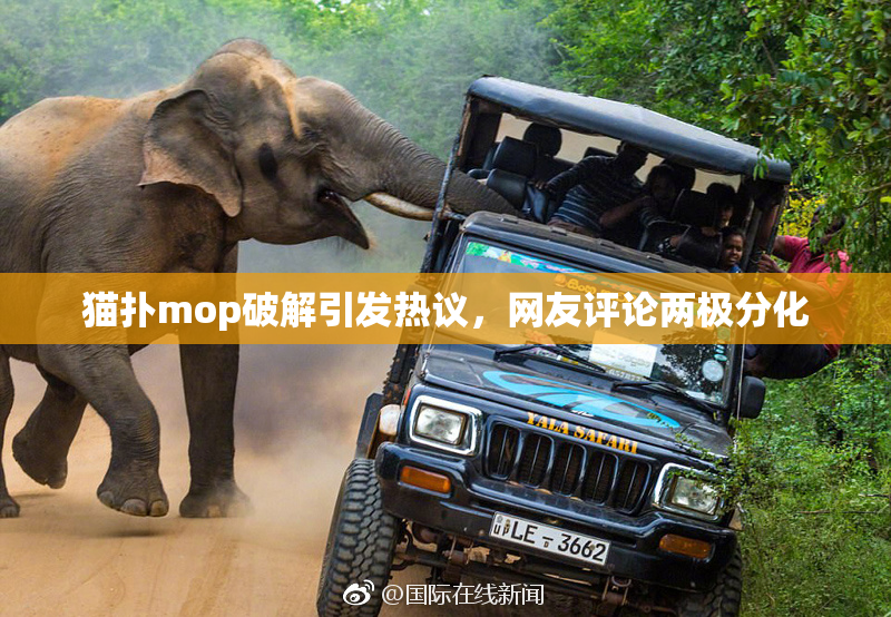 猫扑mop破解引发热议，网友评论两极分化