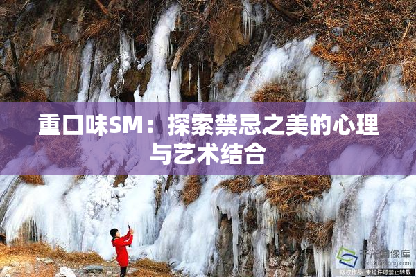 重口味SM：探索禁忌之美的心理与艺术结合