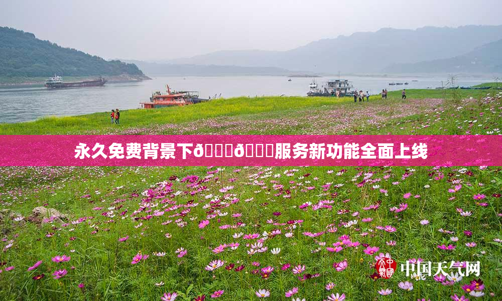 永久免费背景下🔞🔞服务新功能全面上线