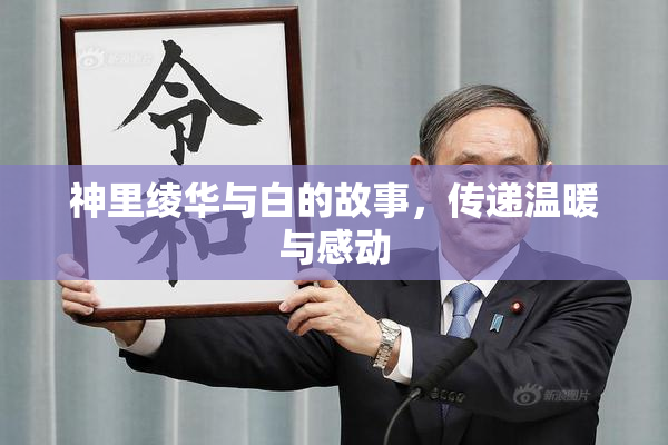 神里绫华与白的故事，传递温暖与感动