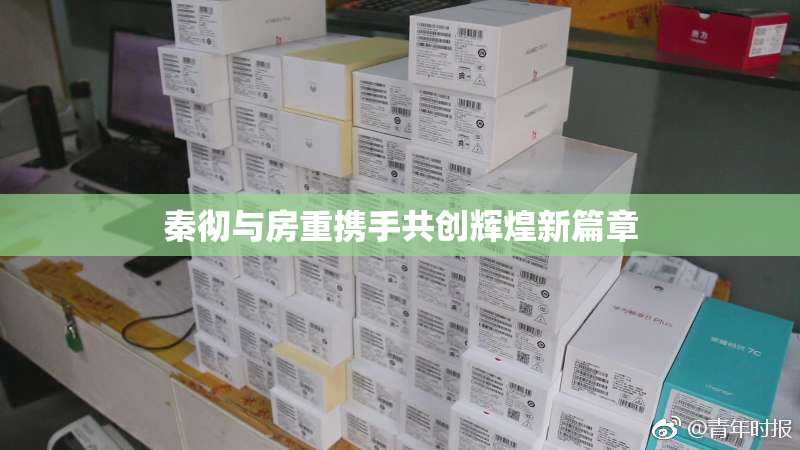 秦彻与房重携手共创辉煌新篇章