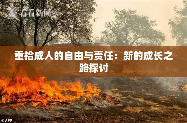 重拾成人的自由与责任：新的成长之路探讨