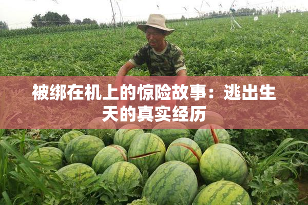 被绑在机上的惊险故事：逃出生天的真实经历