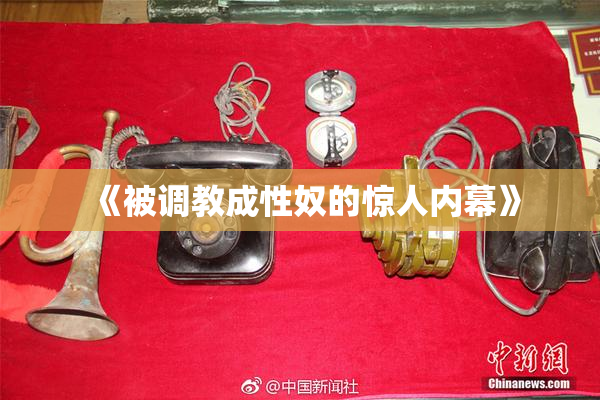 《被调教成性奴的惊人内幕》