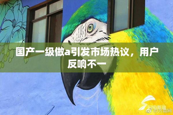 国产一级做a引发市场热议，用户反响不一