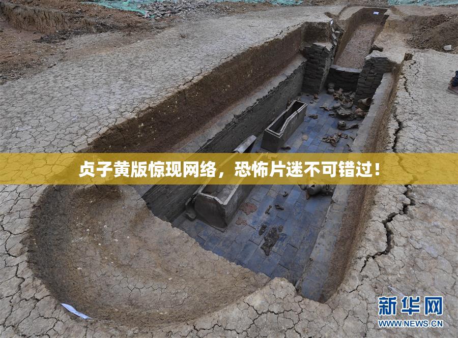 贞子黄版惊现网络，恐怖片迷不可错过！