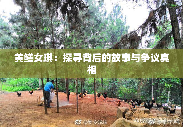 黄鳝女琪：探寻背后的故事与争议真相