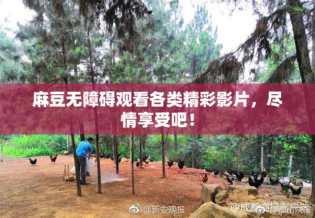 麻豆无障碍观看各类精彩影片，尽情享受吧！