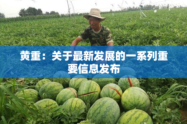 黄重：关于最新发展的一系列重要信息发布