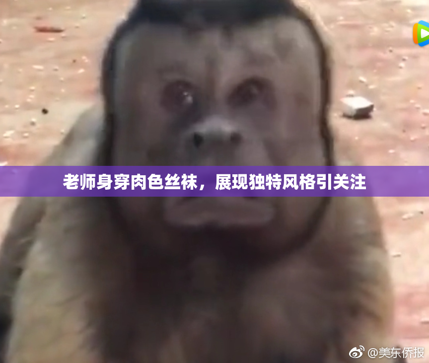 老师身穿肉色丝袜，展现独特风格引关注