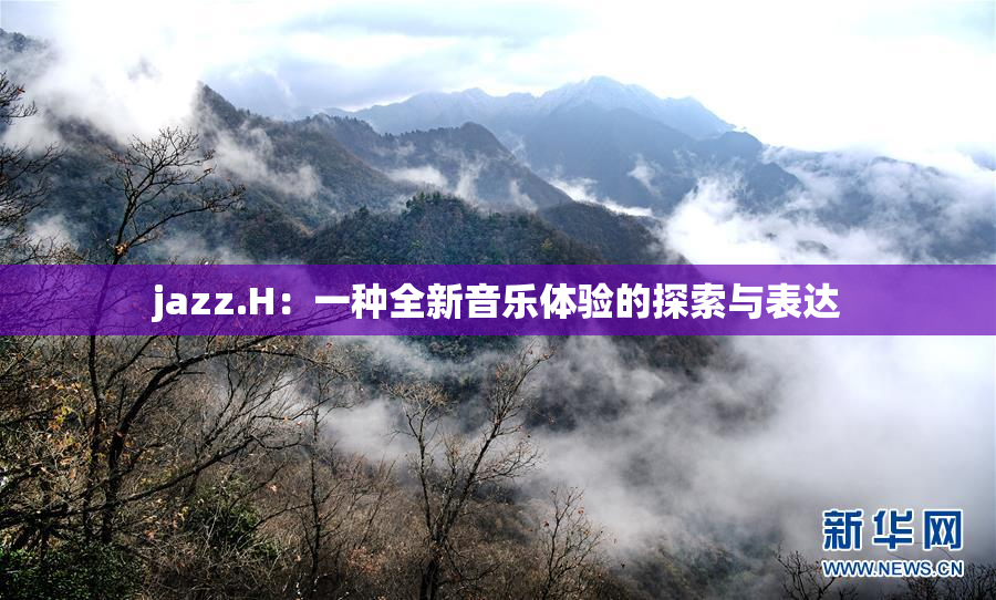 jazz.H：一种全新音乐体验的探索与表达