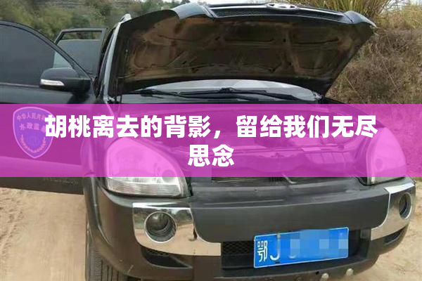 胡桃离去的背影，留给我们无尽思念