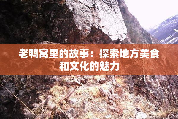 老鸭窝里的故事：探索地方美食和文化的魅力