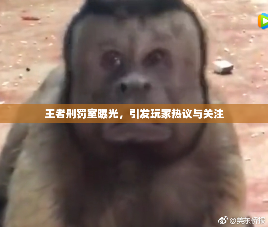 王者刑罚室曝光，引发玩家热议与关注