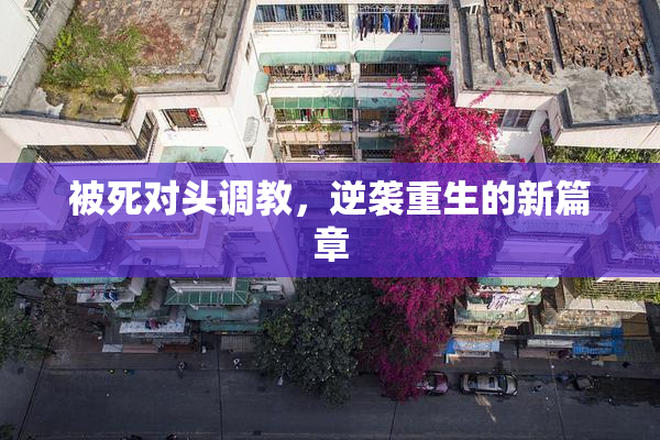 被死对头调教，逆袭重生的新篇章
