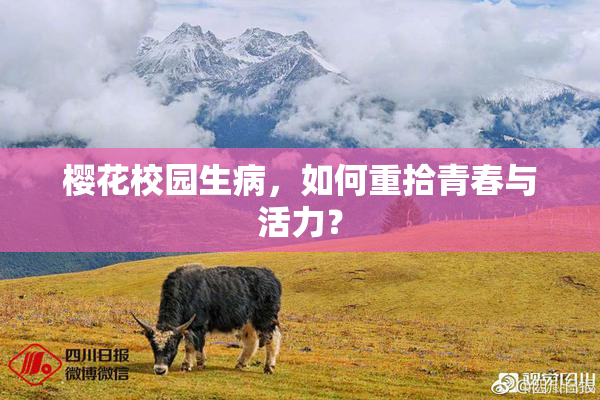 樱花校园生病，如何重拾青春与活力？